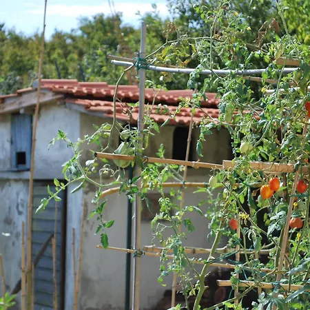 Casa S.maria *